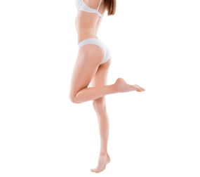 calves fat transfer